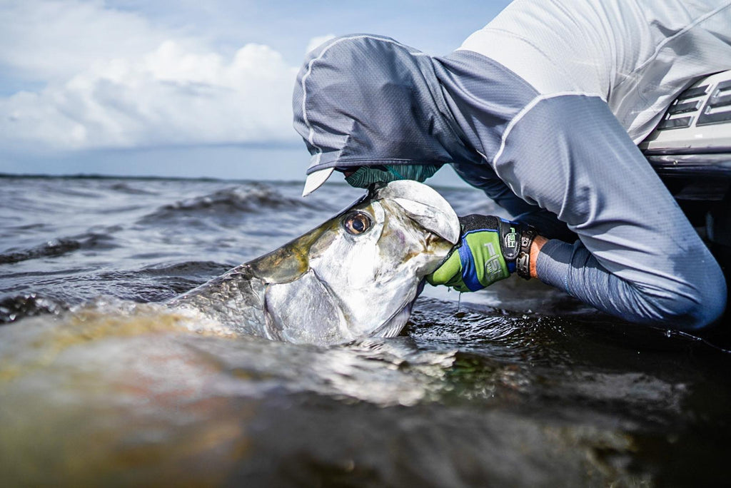 Piscifun Pro Team Dave Nelson - Fishing guide for Trophy Tarpon in Florida.