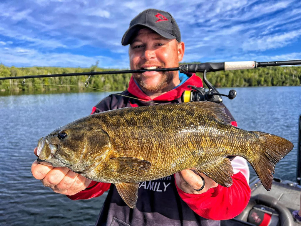 How to Catch More Smallmouth Bass in Fall
