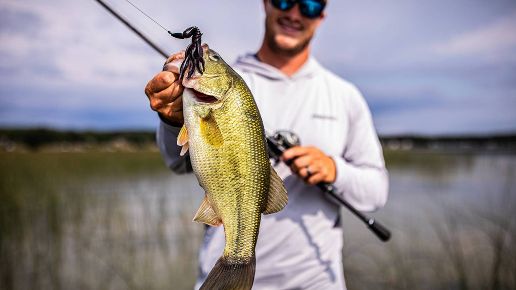Choosing the Right Bass Fishing Reel for Beginners