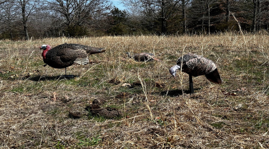 A Guide for Successful Spring Turkey Hunting Decoy