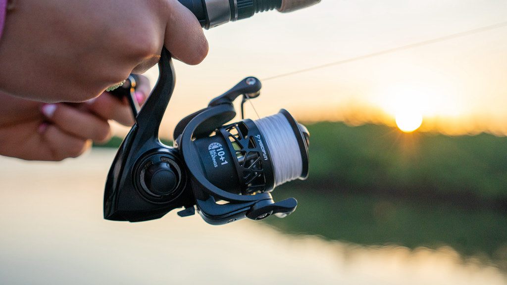 Piscifun carbon X spinning reel