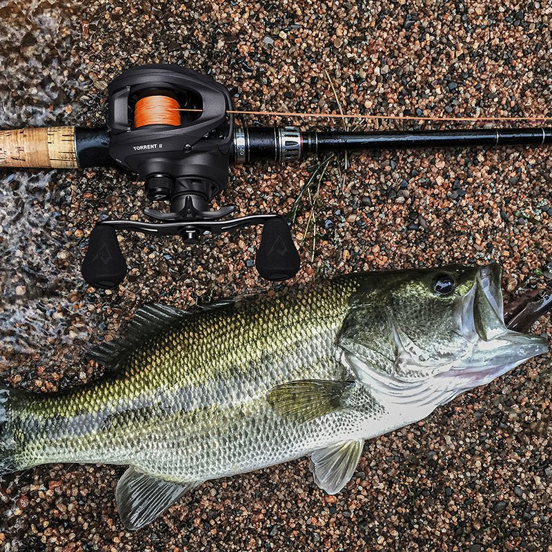 Bass Fishing Best Spinning Reel Under 100 Best Spinning Reel For